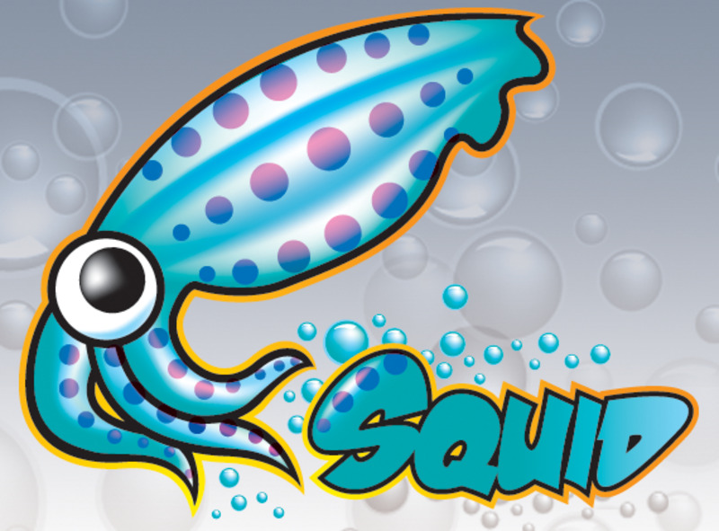 Transparenter Squid Proxy